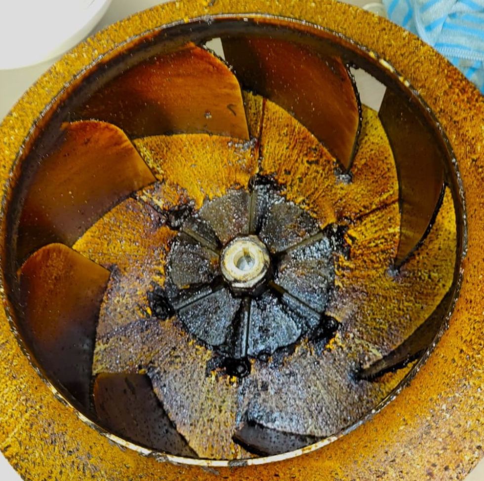 Before image